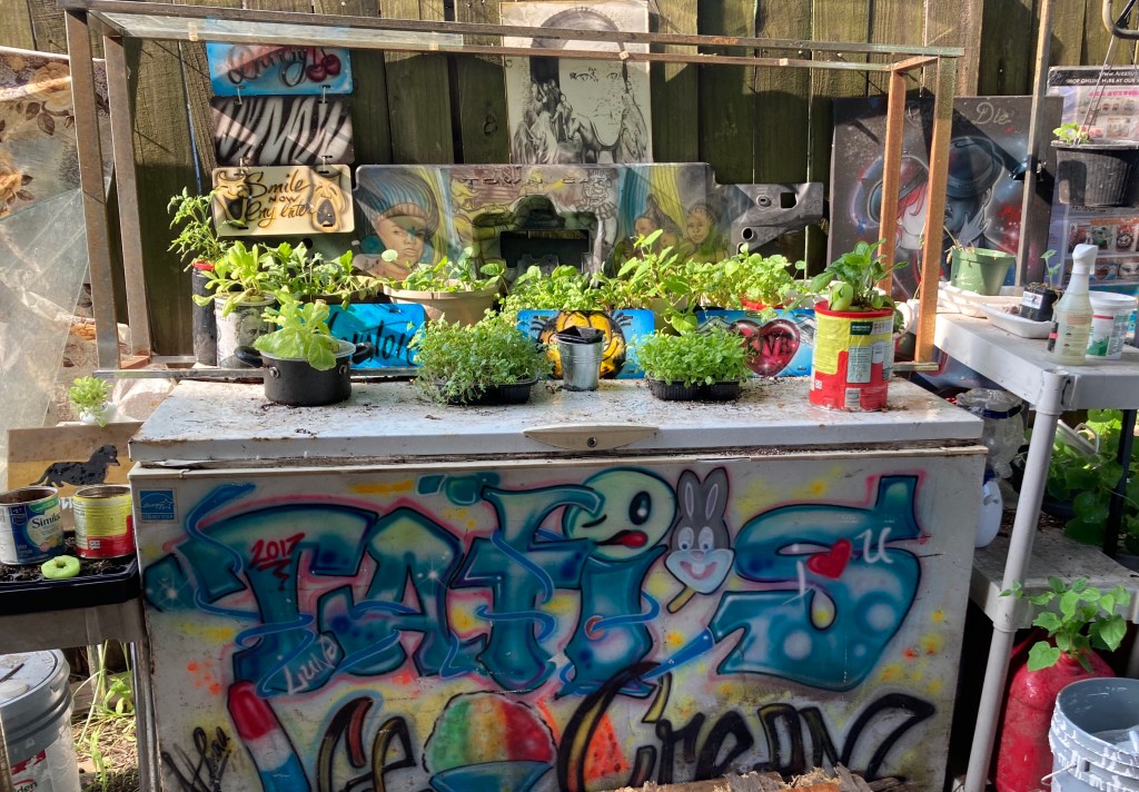 Pearls Beauty, a positive impact